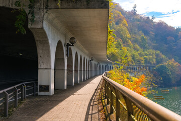 神奈川県相模原市 秋の相模湖、嵐山洞門の遊歩道