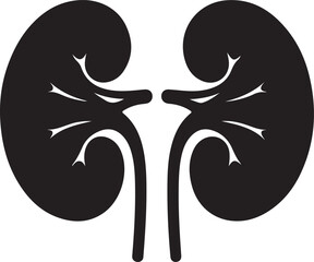 medicine, medicals, care, kidney, organ, internal, human, healthy, health, illustration, disease, anatomy, science, doctor, system, anatomical, concept, biology, body, treatment, background, physiolog
