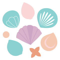 Diverse collection of seashell illustrations featuring clam spiral and fan shapes for marine themed designs