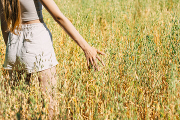 Woman walking through summer field touching golden grass

