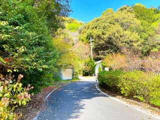 山口県周防大島の風景