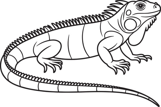 Black and white illustration of an iguana reptile lizard