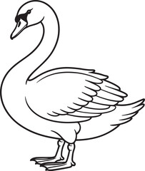 Elegant swan with graceful neck and feathered wings bird white