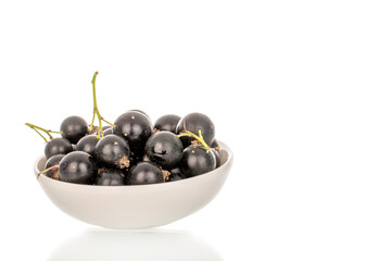 Sweet blackcurrant, macro, isolated on white background.