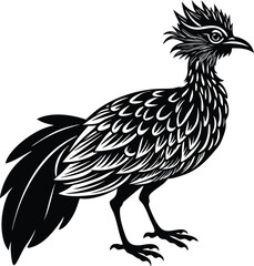 Obraz premium Stylized Roadrunner Bird Black Silhouette