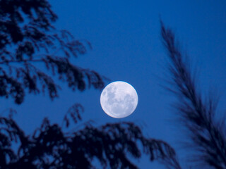 Fototapeta premium moon, luna, argentina