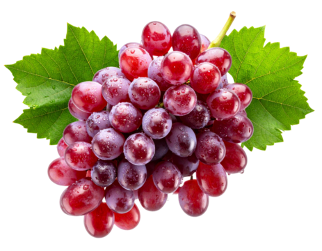 Fresh Red Grape Cluster with Green Leaves, Overhead View, Isolated on Transparent Background