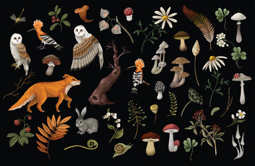 Wood's animals and birds, mushrooms and berries isolated. Vector.