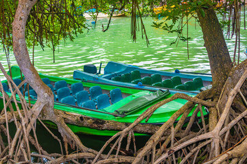 Parked empty tourist safari boats on Madu Ganga river, Sri Lanka