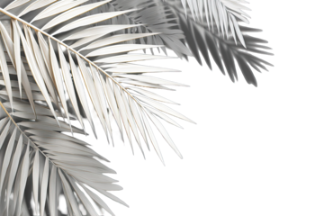 Close-up of stylized, white palm fronds against a black background