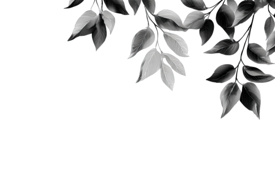 Gray scale leaves and branches at image's top right corner