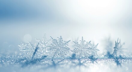 Close-up macro shot of real snowflakes with detailed crystalline structure. Beautiful winter holiday background with glittering snow and dreamy atmosphere.