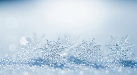 Delicate snowflakes crystals on sparkling snow surface with soft blue bokeh background. Perfect winter wonderland scene capturing nature's intricate ice formations.