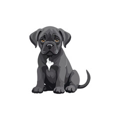 Fototapeta premium Cane corso dog