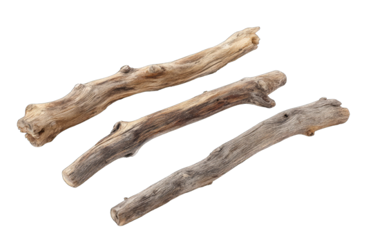Three weathered driftwood branches, overlapping