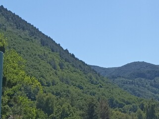 mountain landscape with trees