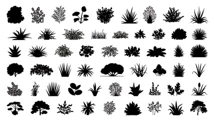 Fototapeta premium Extensive Collection of Grass and Bush Silhouettes 50 High-Resolution Vector Graphics