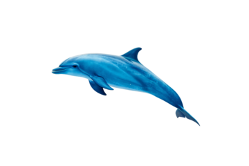Photorealistic blue dolphin in dynamic leaping position displaying marine mammal anatomical features and coloring, isolated on a transparent background