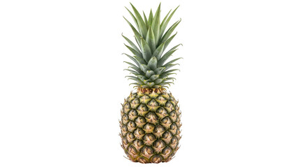 Isolated Whole pineapple