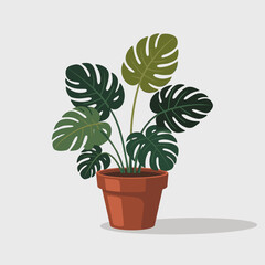 Flat Illustration of Indoor Plants in Decorative Pots