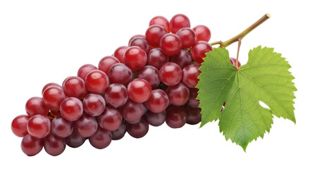 Isolated Red Grapes