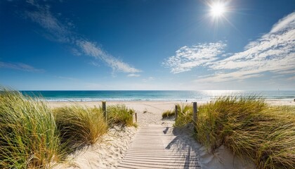 pathway to serene beach on sunny day