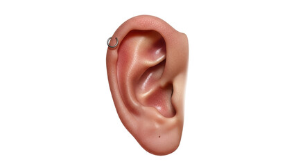 Isolated Human Ear with Earring