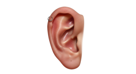 Isolated Human Ear with Earring