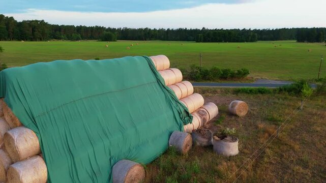 Stacked hay bales covered with green tarp are positioned beside a rural road, surrounded by open fields and trees, showcasing agricultural storage and landscape beauty
