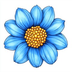Vibrant Blue Flower with Radiant Yellow Center in Detailed Illustration