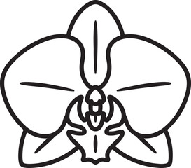 Delicate orchid bloom line art flower petal