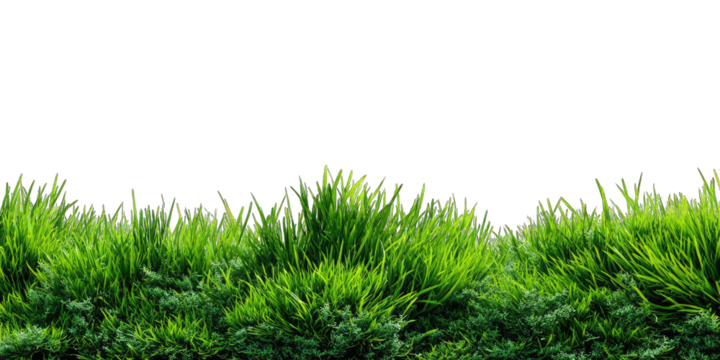 Lush green grass field against black background