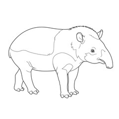 Malayan Tapir – Tapirus indicus. Black and white drawing of a Malayan tapir suitable for wildlife conservation projects, educational materials, or animalthemed designs.
