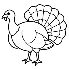 Elegant Turkey Line Drawing