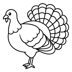 Elegant Turkey Line Drawing