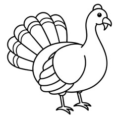 Elegant Turkey Line Drawing