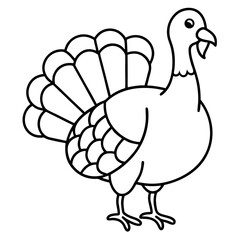 Elegant Turkey Line Drawing
