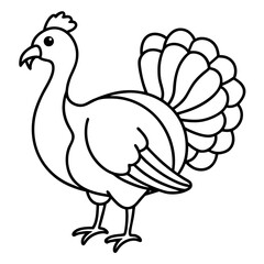 Elegant Turkey Line Drawing