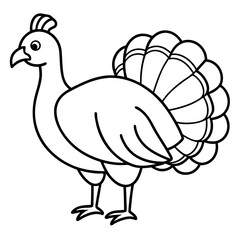 Elegant Turkey Line Drawing