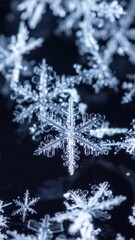 Closeup of Intricate White Snowflake Against Dark Background