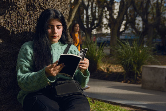 young woman entertained reading a novel in the park