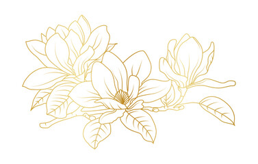 Golden magnolia flowers line art isolated on white background. Luxury magnolia floral design elements for invitation, wedding, wallpaper, print template, vector illustration © abcvector