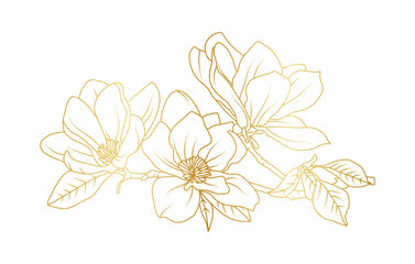 Golden magnolia flowers line art isolated on white background. Luxury magnolia floral design elements for invitation, wedding, wallpaper, print template, vector illustration