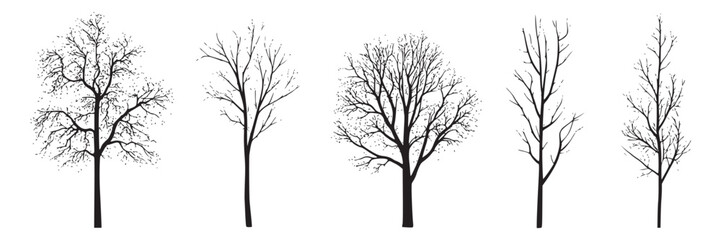 Bare trees silhouettes vector illustration for winter landscape design and artistic compositions use 100 on transparent background