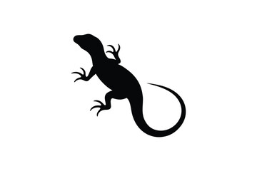 Fototapeta premium Lizard Silhouette on White Background with Curled Tail and Sharp Claws