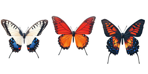 Naklejka premium Three vibrant butterflies in flight