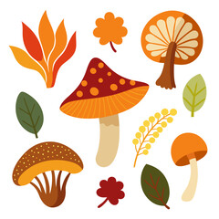 Scientific illustration of diverse mushroom species and fungi in a collection