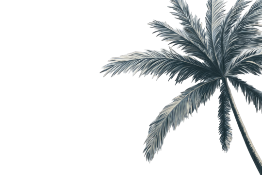 Two palm trees in muted gray tones, against a stark black background