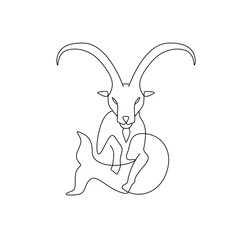capricorn zodiac