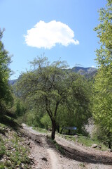 road in the mountains